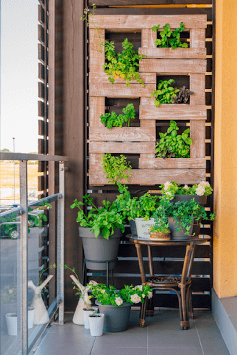 Saiba Como Usar Jardim Vertical Em Apartamentos: Jardim Vertical Natural